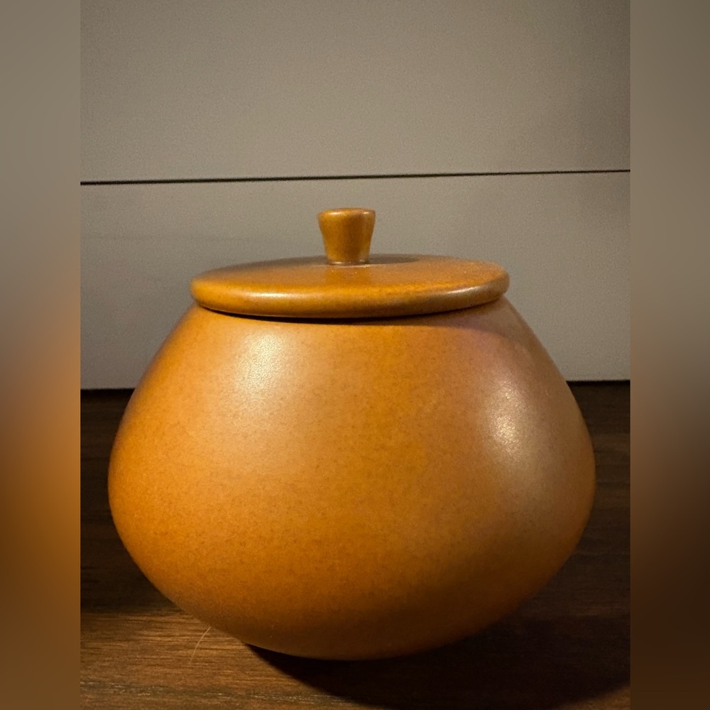 New Studio McGee Threshold Small Ceramic Pottery Type Canister